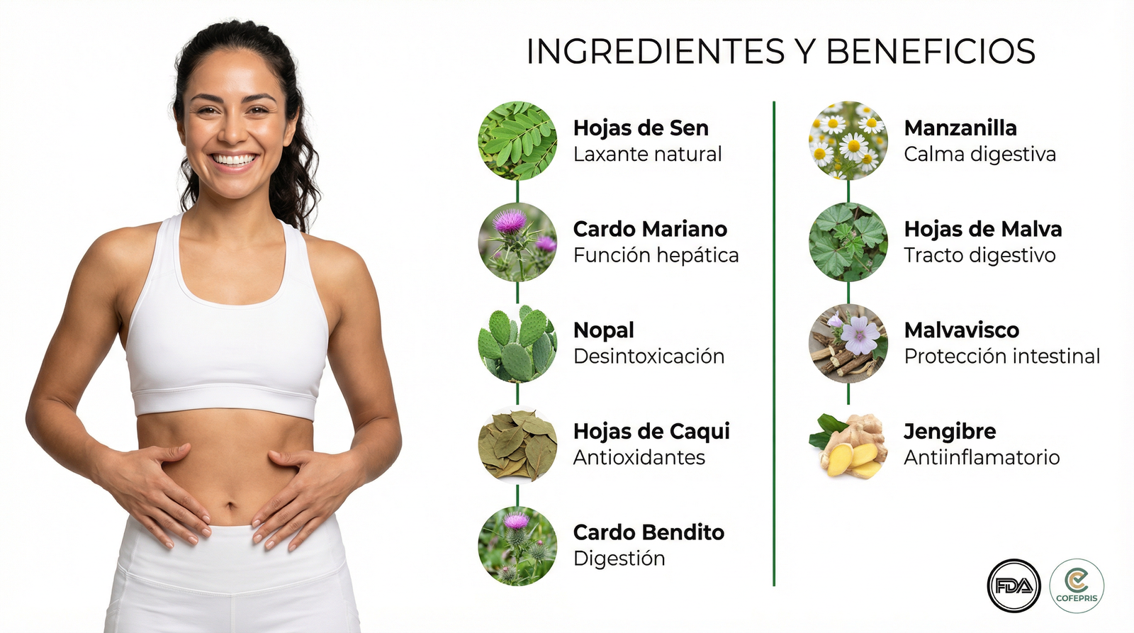 Ingredientes V-TEDETOX con Beneficios